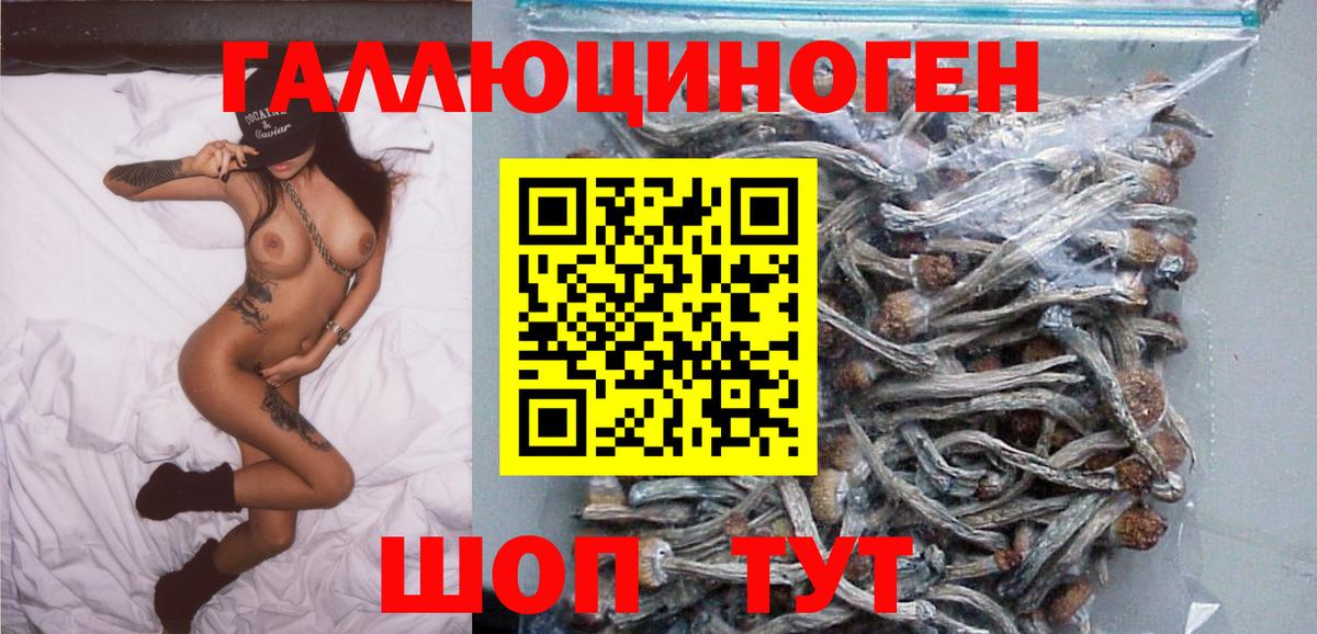 Саратов  Галлюциногенные грибы GOLDEN TEACHER  Вход с VPN  Псилоцибиновые грибы GOLDEN TEACHER 