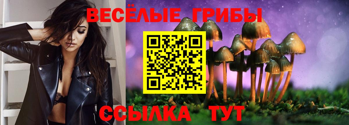 Псилоцибиновые грибы Cubensis Саратов